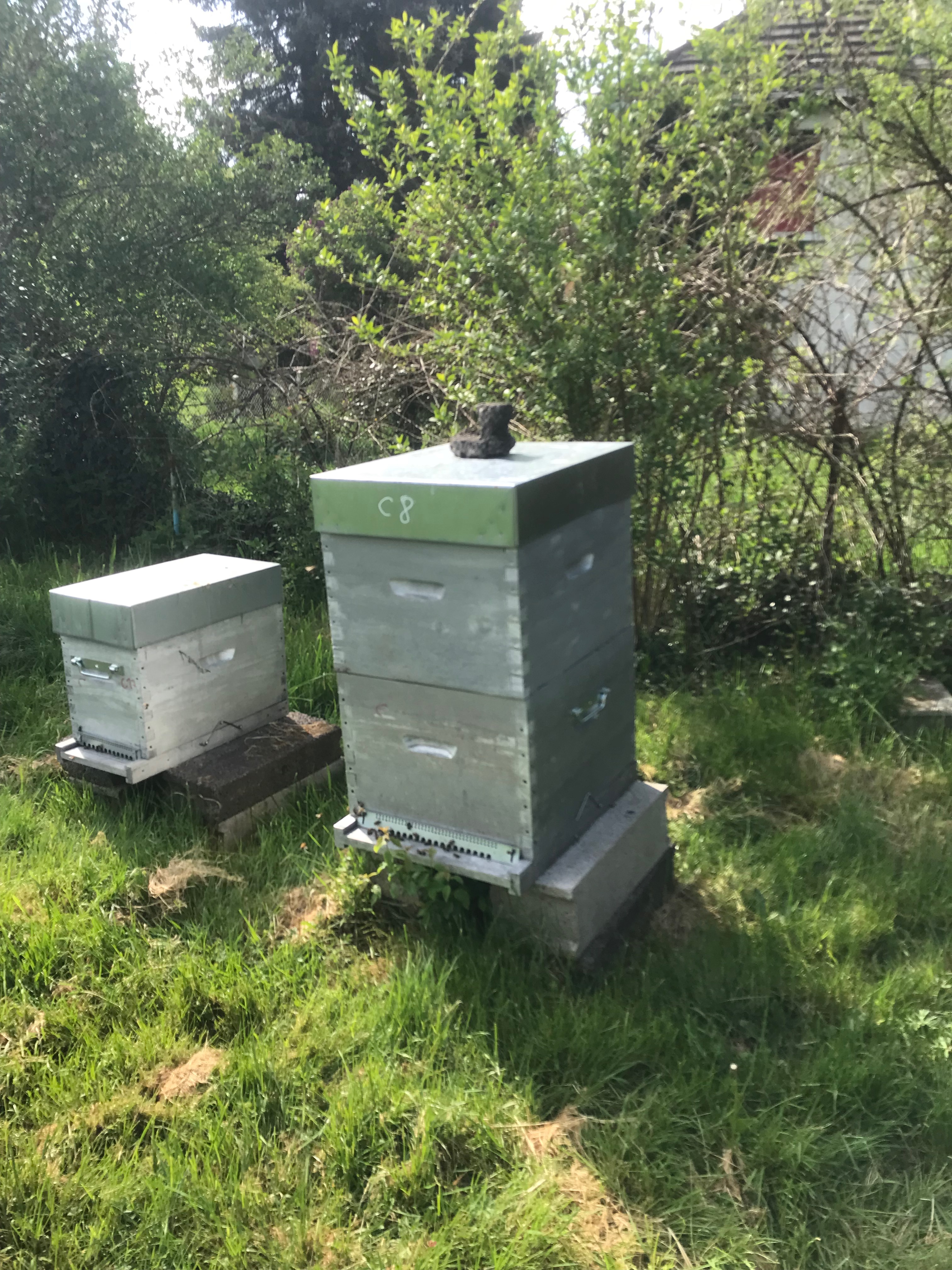 Conservatoire de Savoie - CETA de Savoie - © Vincent René DOUARRE